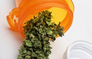 A proposal to legalize medical marijuana has been approved for the November ballot in Arkansas.