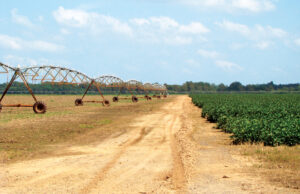 Irrigation capability is an important variable that affects cropland valuations along with harvest production.