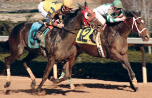 Some of the world&rsquo;s best Thoroughbreds have raced at Oaklawn, including Smarty Jones, the 2004 winner of both the Kentucky Derby and Preakness Stakes.