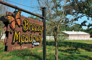 This widow of Little Rock businessman Jennings Osborne has filed a civil lawsuit to recover property that went missing from her west Little Rock home before it was sold at auction.