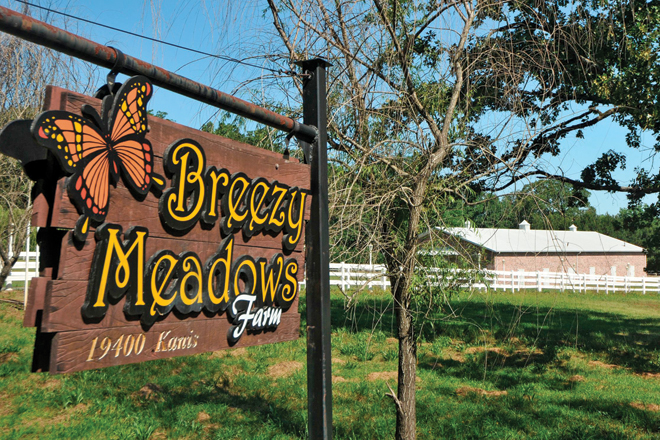 This widow of Little Rock businessman Jennings Osborne has filed a civil lawsuit to recover property that went missing from her west Little Rock home before it was sold at auction.