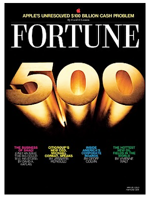 The 2013 Fortune 500.