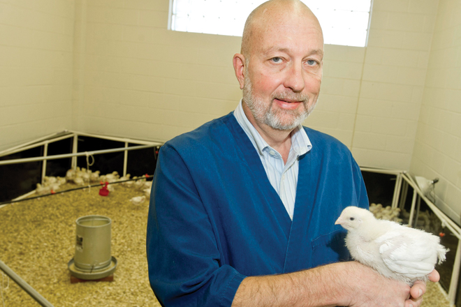 Billy Hargis, director of the Division of Agriculture&rsquo;s Poultry Health Laboratory at the University of Arkansas, and colleague Memo Tellez created a company to commercialize their patented probiotics. (Photo by Beth Hall)
