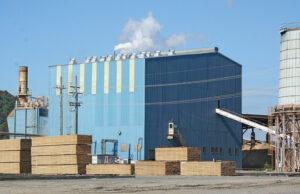 Bean Lumber Co. of Glenwood planned to receive $10 million in funding in 2010, but the money never arrived as promised. (Photo by Mark Friedman)