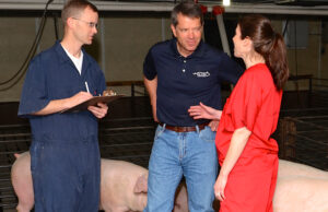 Tyson Foods says it buys&nbsp;market hogs from more than 3,000 independent family farmers.