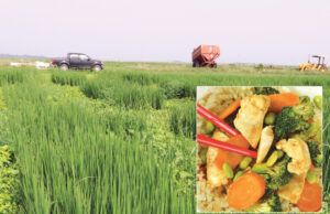 &nbsp;The Trans-Pacific Partnership has a chance to open large Asian markets to U.S. products, like rice, of which Arkansas is a leading producer.