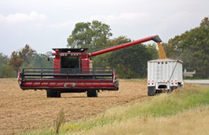 A harvesting combine fills a delivery truck with soybeans. | (Shutterstock)