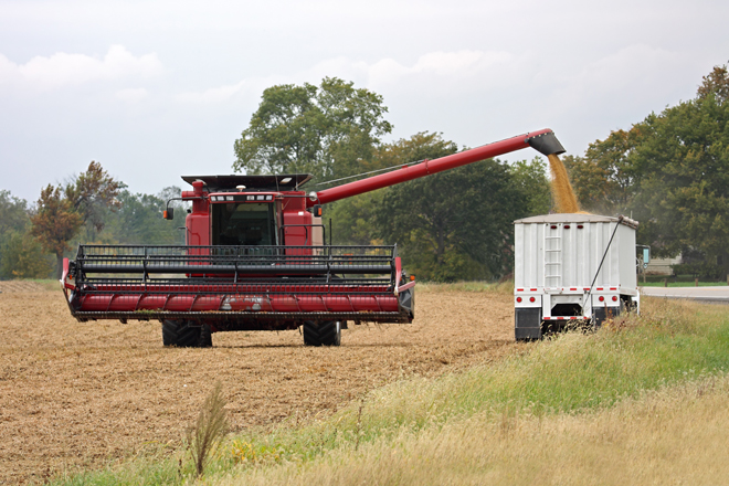 A harvesting combine fills a delivery truck with soybeans. | (Shutterstock)