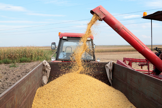 Sources say they expect Turner Grain Merchandising Inc. of Brinkley to file for bankruptcy.