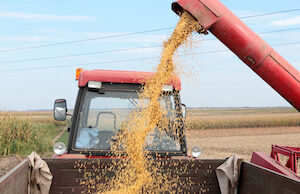 Grain auger of combine pouring soybean into tractor trailer.