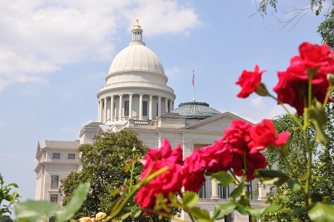 The tech startup deal flow in Arkansas is blossoming, thanks in large part to the efforts of Innovate Arkansas to match entrepreneurs with available funding sources, both public and private.