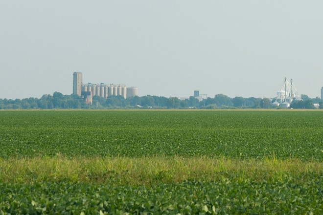A rice field near Stuttgart