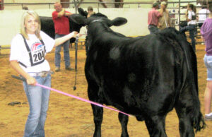 Magnolia’s Victoria Maloch, grooming her prize bull, will be the first female from Arkansas to serve as national FFA officer as she takes the organization’s national secretary post.