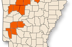 Gov. Asa Hutchinson issued a storm proclamation for Newton, Searcy, Izard, Pope, Johnson and Franklin counties in the northern part of Arkansas and Montgomery, Garland, Pike and Howard counties in the southwestern part.