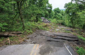 Mountainside migration became a road block on Highway 23 in northwest Arkansas with the aid of abundant rainfall during the winter and spring.