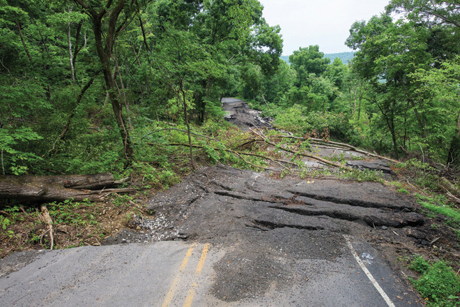 Mountainside migration became a road block on Highway 23 in northwest Arkansas with the aid of abundant rainfall during the winter and spring.
