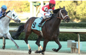 Dazzling Gem is owned by Steve Landers Sr., who paid $95,000 for the thoroughbred.