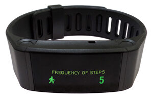 A wristband tracking device.