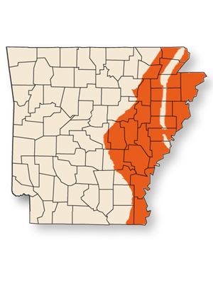 The area of Arkansas eligible to take part in the USDA's Climate Change EQIP Project.