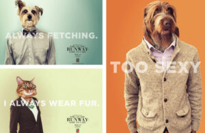 Cranford Co. took the Best of Print Addy award for its campaign promoting CARE’s “Paws on the Runway”.