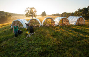 Heifer helps farmers in Arkansas and abroad connect to local markets and generate a sustainable living.