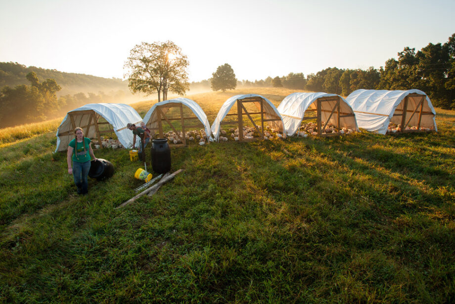 Heifer helps farmers in Arkansas and abroad connect to local markets and generate a sustainable living.