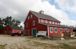 Heifer Farm | Rutland, Massachusetts