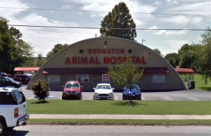 Wedington Animal Hospital4363 W. Wedington Drive, Fayetteville