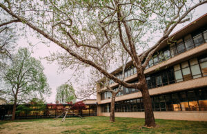 A quarter of a $120 million gift from the Walton Family Charitable Support Foundation is earmarked to renovate the Fine Arts Building at the University of Arkansas, a landmark designed by Edward Durell Stone.