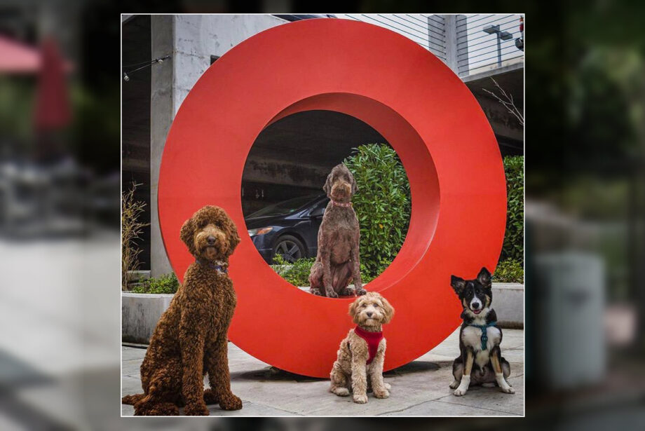 Pets of Stone Ward employees pose in front of the marketing firm's iconic 'O' on Markham Street.