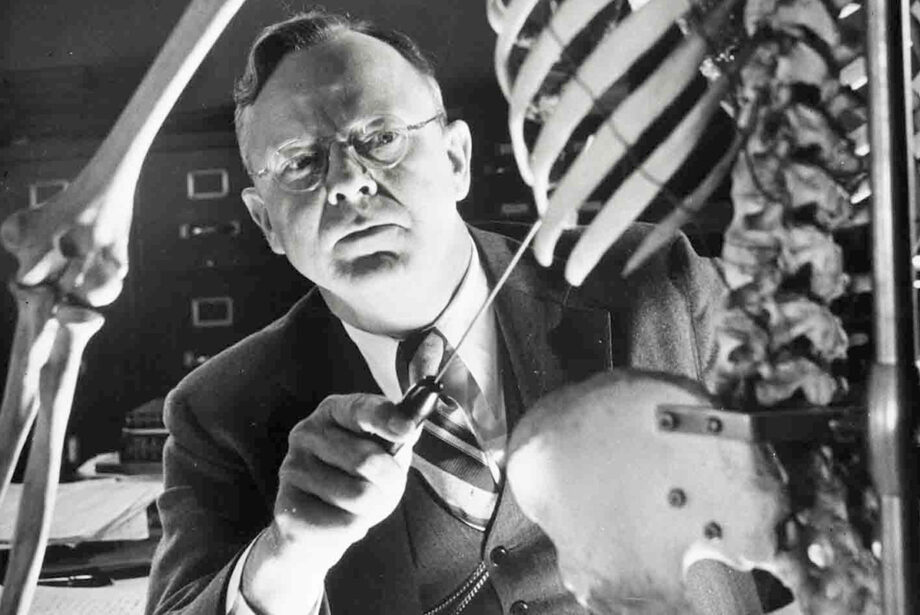 Dr. Alan R. Moritz with skeleton at Harvard Medical School's Department of Legal Medicine, circa 1946.