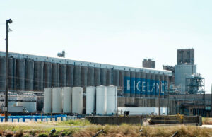Riceland Foods in Stuttgart is still optimistic about new sales to China.