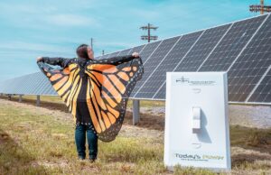 Leslie Fowler of Quail Forever was on hand as Farmers Electric Cooperative dedicated its new solar power array Tuesday in Newport. The quail preservation group is a partner in making the site wildlife-friendly.