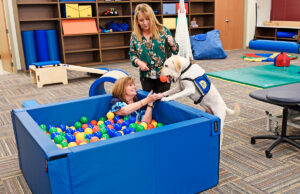 Nibs, an occupational therapy dog, helps fill the ball pit at the College of Health Sciences.
