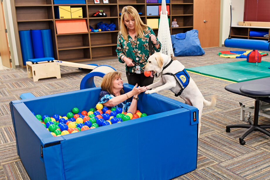 Nibs, an occupational therapy dog, helps fill the ball pit at the College of Health Sciences.