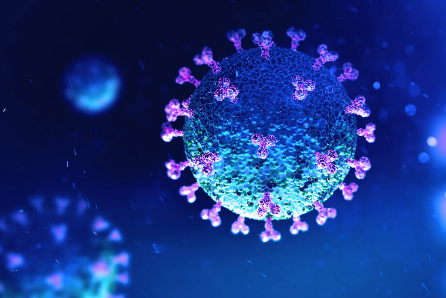 A 3-D illustration of the coronavirus COVID-19 under the microscope.