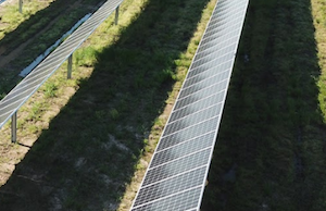 C&L Electric Cooperative Corp.'s solar array in Star City.