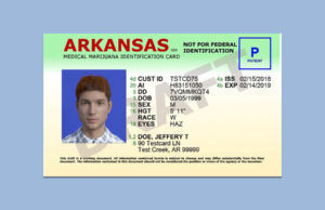 A sample illustration of the Arkansas Department of Health's identification card issued to medical marijuana patients.