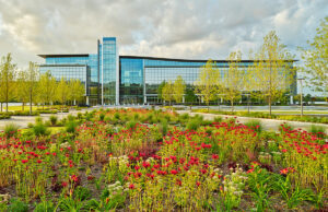The median of the tree-lined entry is awash in wildflowers at the new Bank OZK headquarters in west Little Rock.