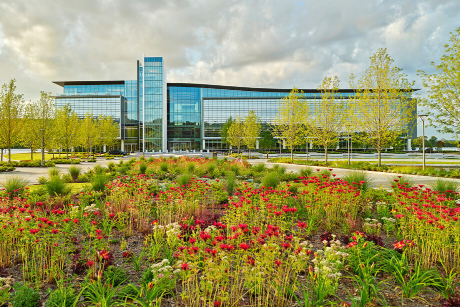 The median of the tree-lined entry is awash in wildflowers at the new Bank OZK headquarters in west Little Rock.