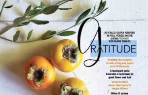 The November issue of&nbsp;360 West magazine, the flagship publication of Scott Publishing LLC of Fort Worth, Texas.