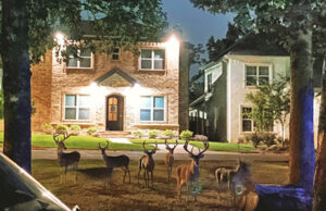 Cammack Village area deer photos taken this summer.