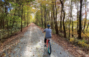 Spring and fall are favored seasons to pedal along the Delta Heritage Trail.