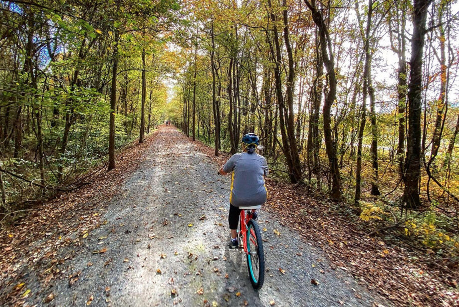 Spring and fall are favored seasons to pedal along the Delta Heritage Trail.
