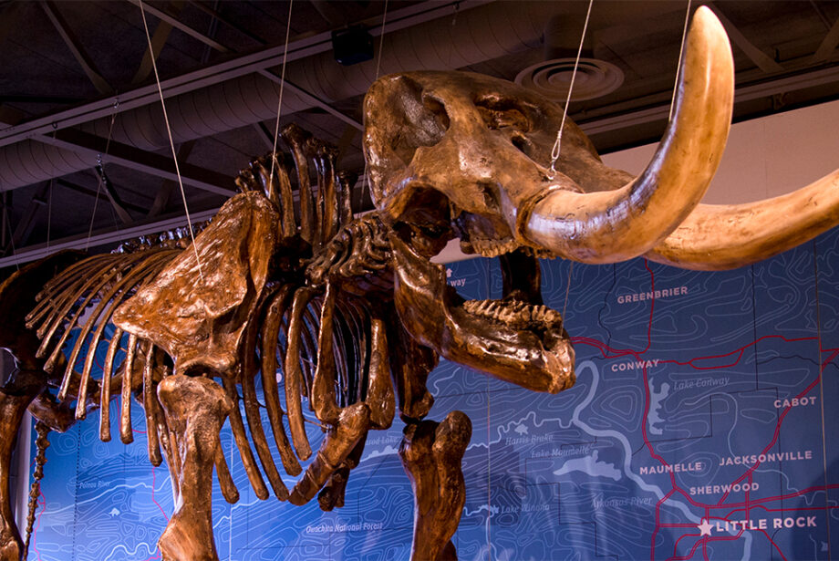 Don't miss the life-size mastodon skeleton in Mid-America Science Museum's Underfoot Gallery. And the museum's new DinoTrek attraction is the state&rsquo;s first-ever outdoor dinosaur exhibit located on 21 wooded acres.