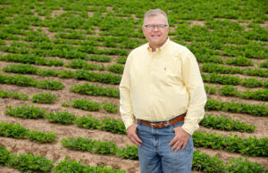 Tommy Jumper, president and CEO of Delta Peanut, said the operation is completing testing and ready for harvest this fall.