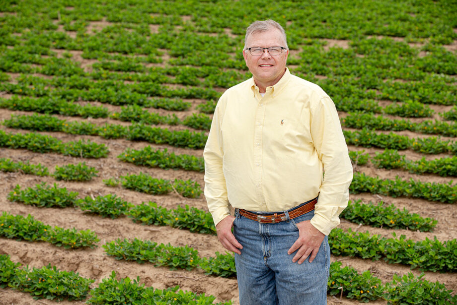 Tommy Jumper, president and CEO of Delta Peanut, said the operation is completing testing and ready for harvest this fall.