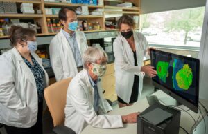 UAMS researcher Dr. Brian Storrie, sitting, views images of blood platelets that have combined to seal a puncture wound.