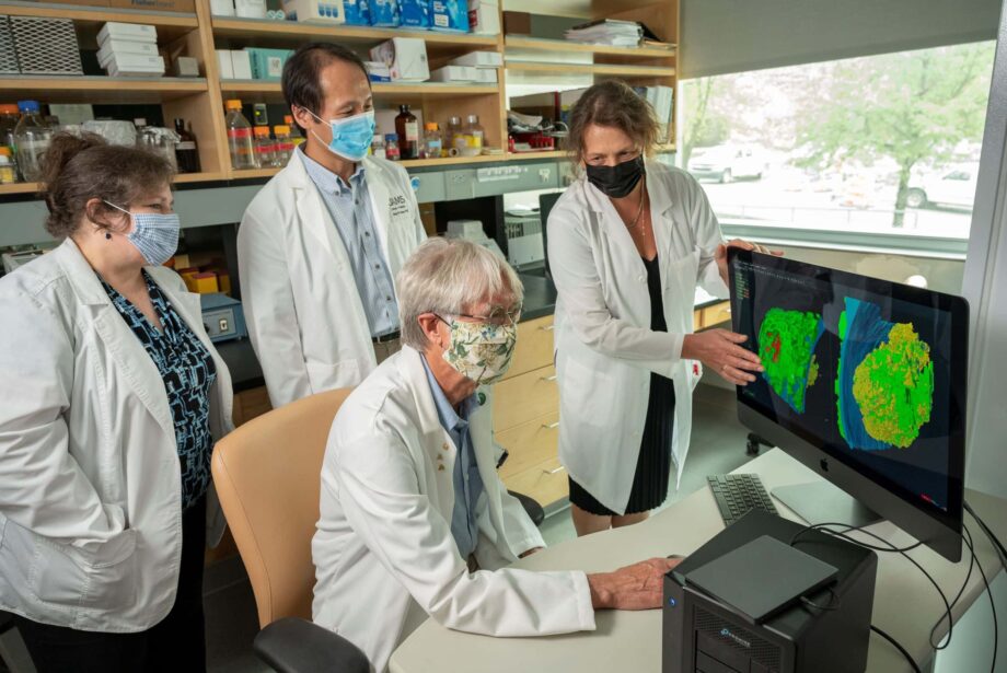 UAMS researcher Dr. Brian Storrie, sitting, views images of blood platelets that have combined to seal a puncture wound.