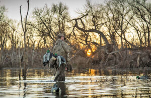 Arkansas duck hunters are wading into shallower waters this season at three of the state’s wildlife management areas.